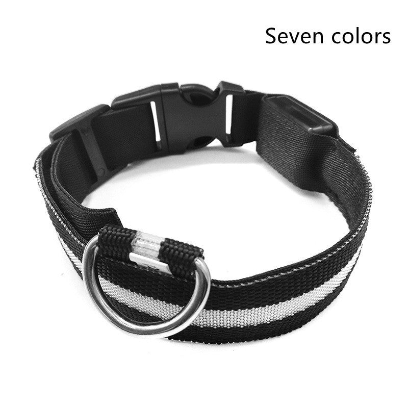 LED Dog Collar | Glow-in-Dark Safety Leash Blyntra