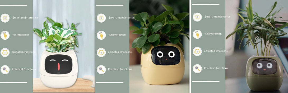 BLYNTRA Smart Planter Companion – Animated AI Plant Pot with Display BLYNTRA