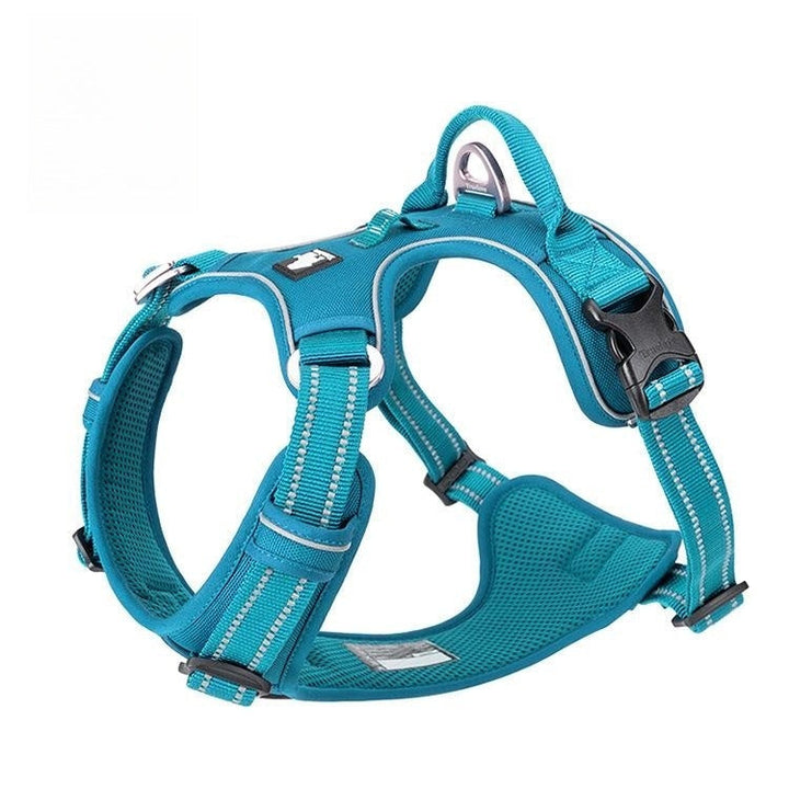 No-Pull Dog Vest with Leash | Explosion-Proof Harness BLYNTRA