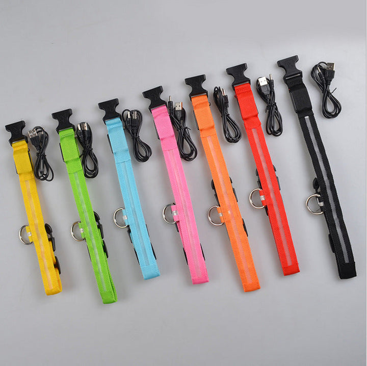 LED Dog Collar | Glow-in-Dark Safety Leash Blyntra