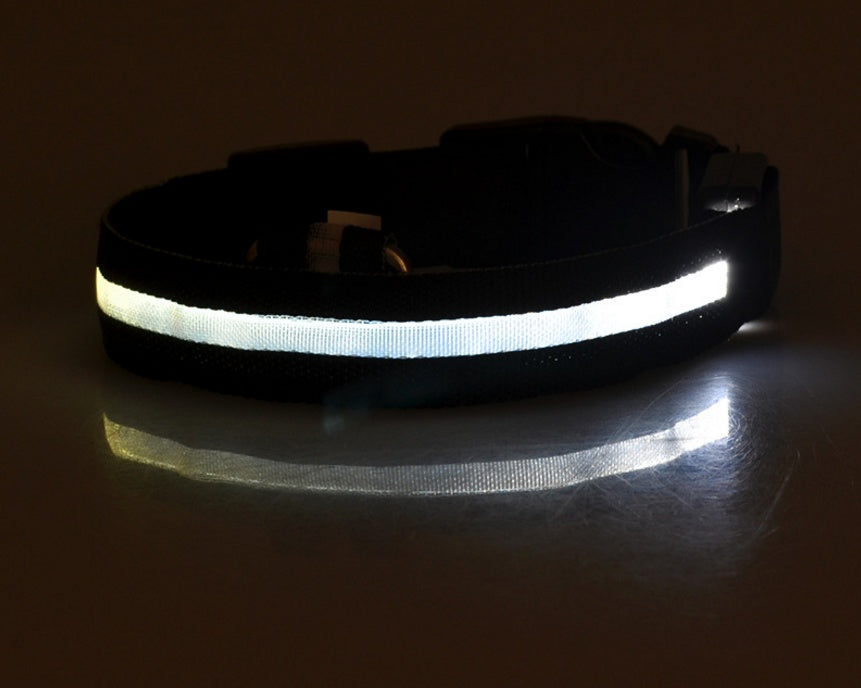LED Dog Collar | Glow-in-Dark Safety Leash Blyntra