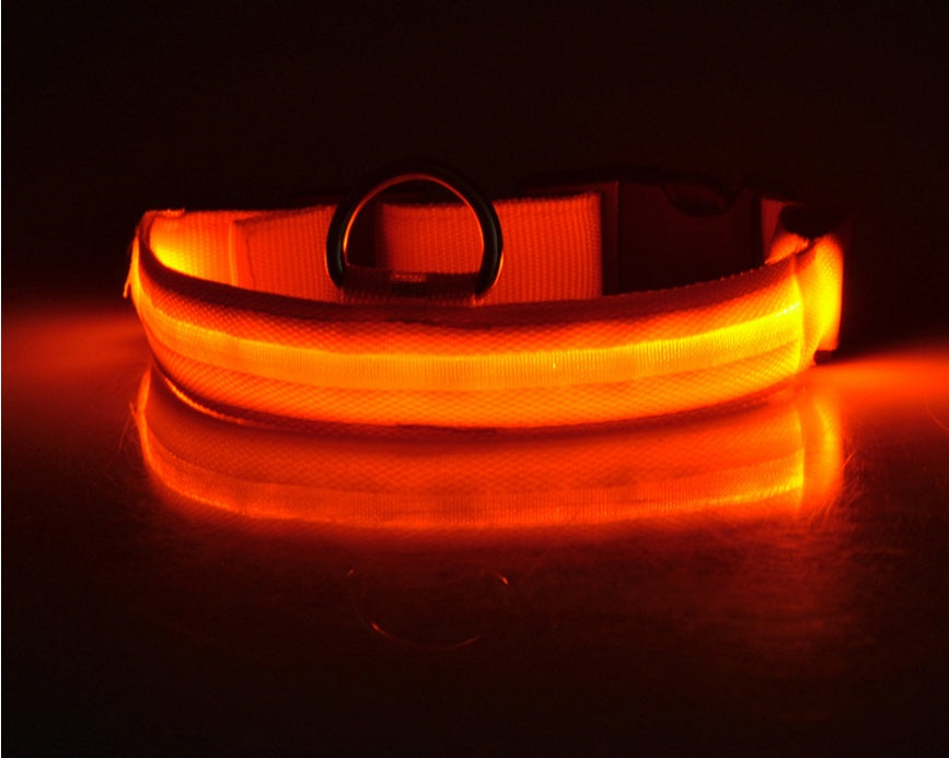 LED Dog Collar | Glow-in-Dark Safety Leash Blyntra