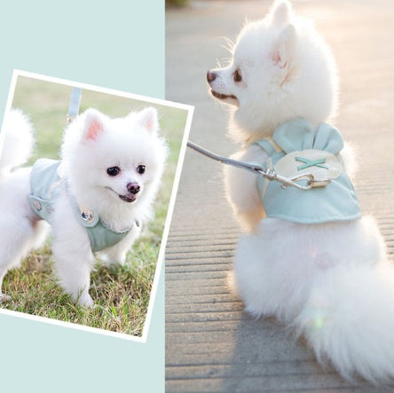 PawCharm Harness & Leash Set Silicone Back Scrub Bath Brush