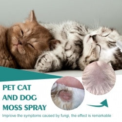 Pet Anti-Itch Skin Spray for Dogs & Cats BLYNTRA