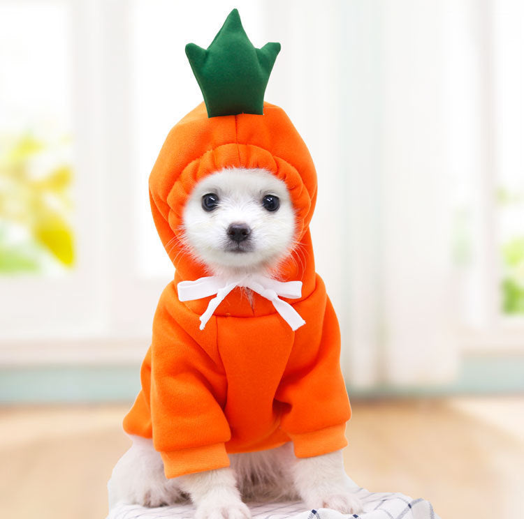 BLYNTRA Winter Fleece Hoodie for Small Dogs – Cute Fruit Costume BLYNTRA