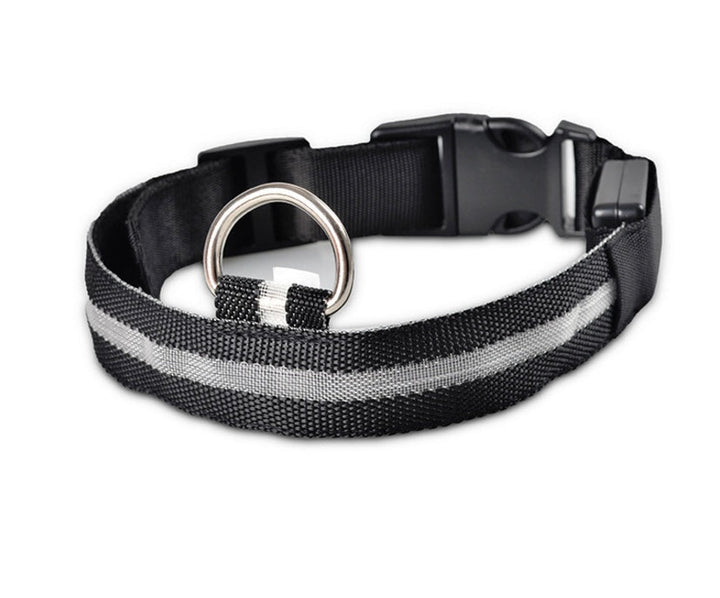 LED Dog Collar | Glow-in-Dark Safety Leash Blyntra