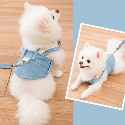 PawCharm Harness & Leash Set Silicone Back Scrub Bath Brush