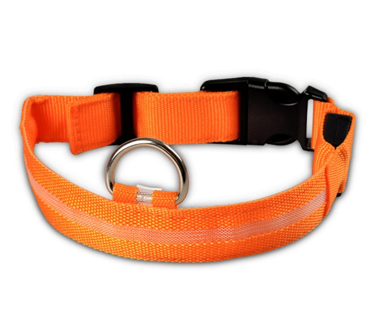 LED Dog Collar | Glow-in-Dark Safety Leash Blyntra