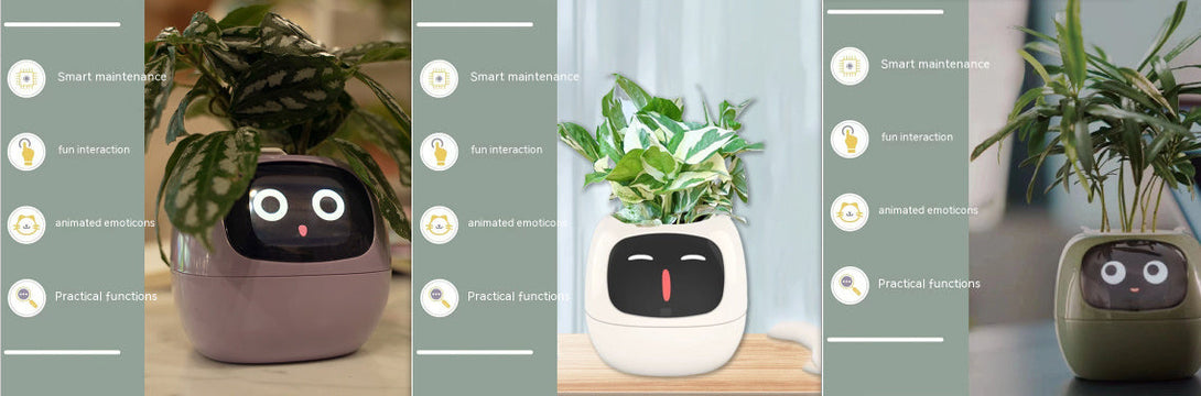 BLYNTRA Smart Planter Companion – Animated AI Plant Pot with Display BLYNTRA