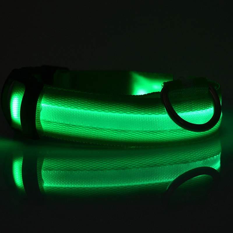 LED Dog Collar | Glow-in-Dark Safety Leash Blyntra