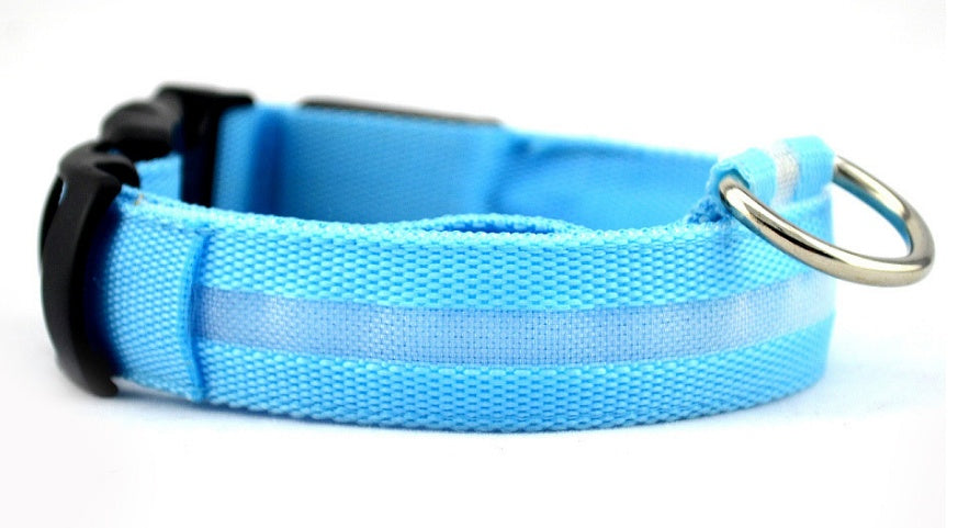 LED Dog Collar | Glow-in-Dark Safety Leash Blyntra