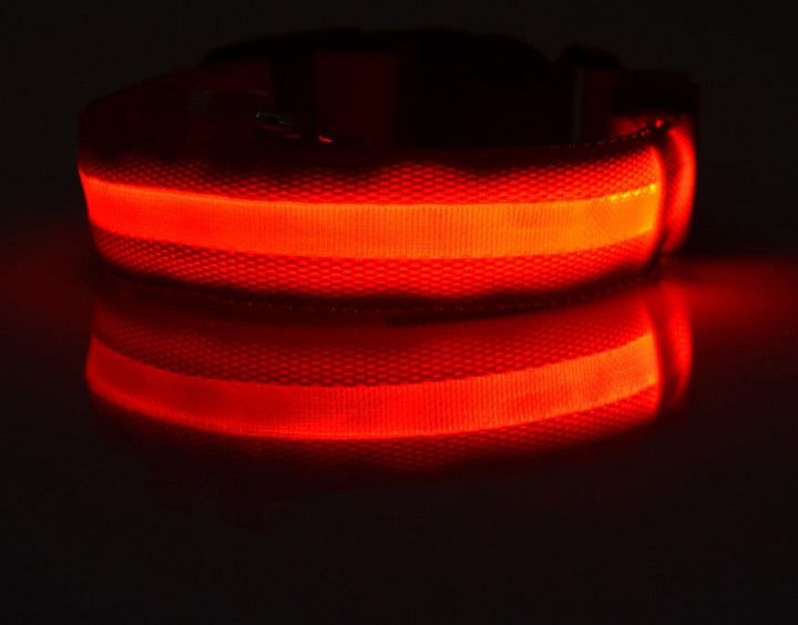 LED Dog Collar | Glow-in-Dark Safety Leash Blyntra