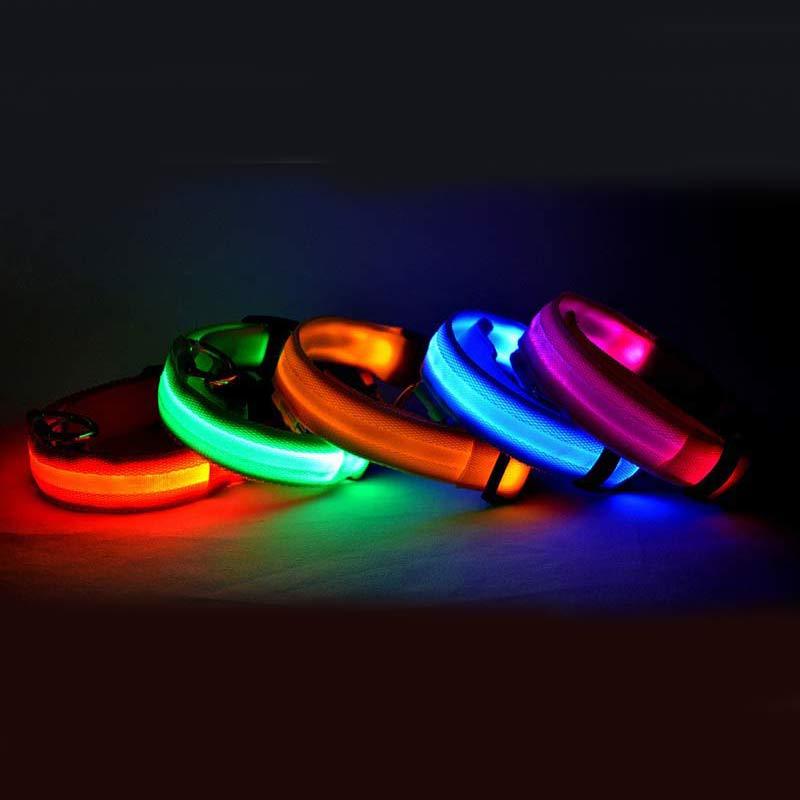 LED Dog Collar | Glow-in-Dark Safety Leash Blyntra