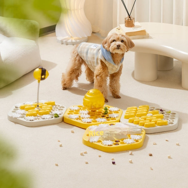 PawMaze Interactive Slow Feeder Toy for Dogs Silicone Back Scrub Bath Brush