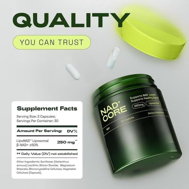 Cata-Kor Nicotinamide Capsules NAD Supplement 60 Tablets BLYNTRA