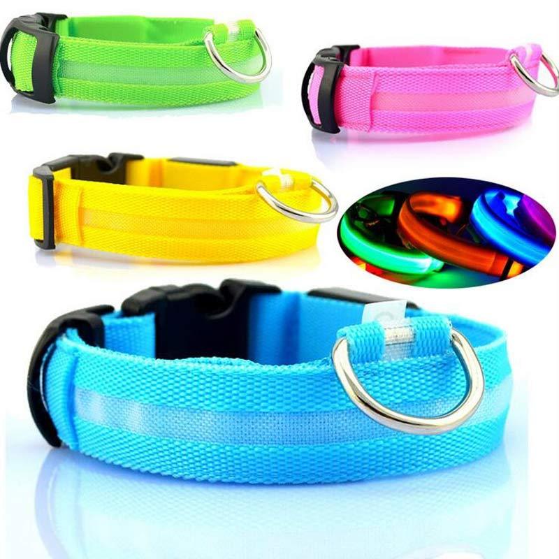 LED Dog Collar | Glow-in-Dark Safety Leash Blyntra
