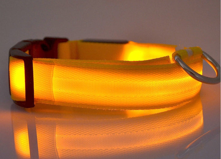 LED Dog Collar | Glow-in-Dark Safety Leash Blyntra
