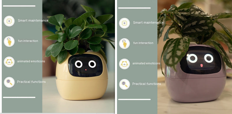 BLYNTRA Smart Planter Companion – Animated AI Plant Pot with Display BLYNTRA