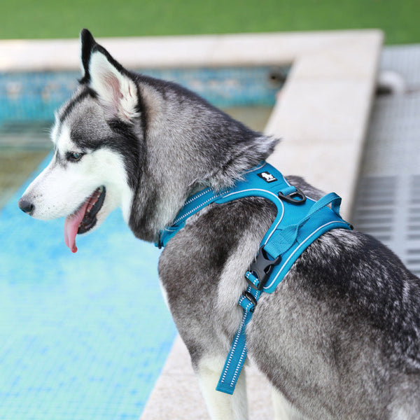 No-Pull Dog Vest with Leash | Explosion-Proof Harness BLYNTRA