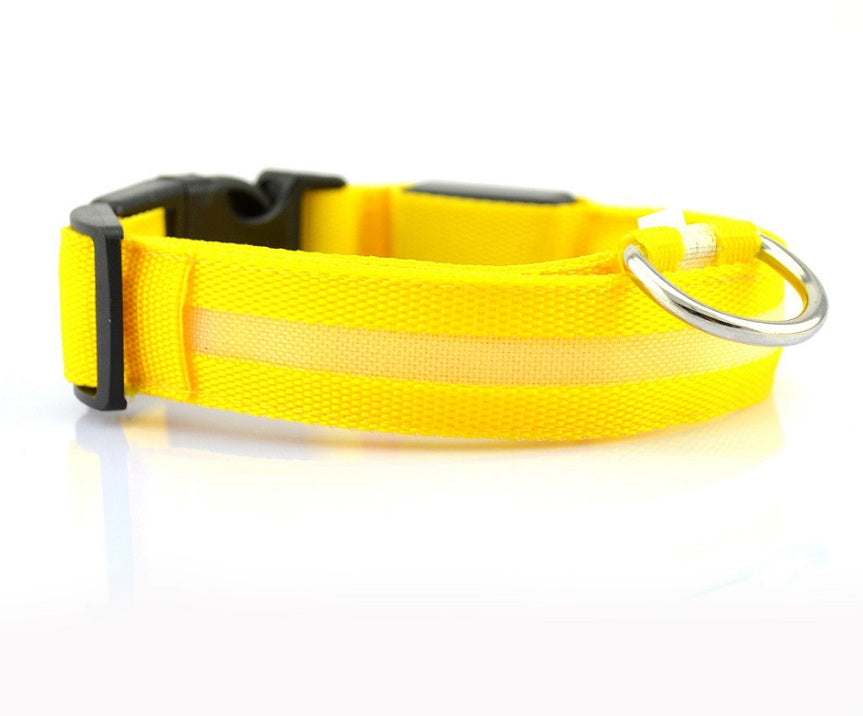 LED Dog Collar | Glow-in-Dark Safety Leash Blyntra