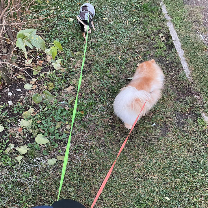Retractable Dual Dog Leash with Light & Reflective Strip BLYNTRA