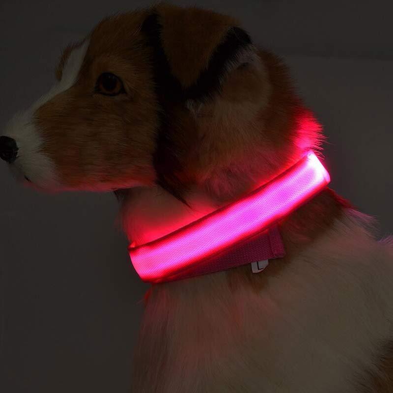 LED Dog Collar | Glow-in-Dark Safety Leash Blyntra