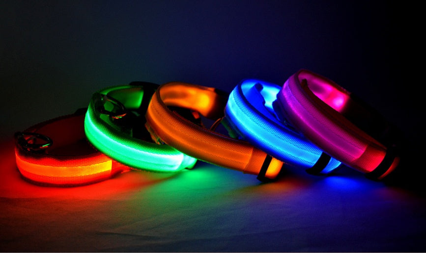 LED Dog Collar | Glow-in-Dark Safety Leash Blyntra