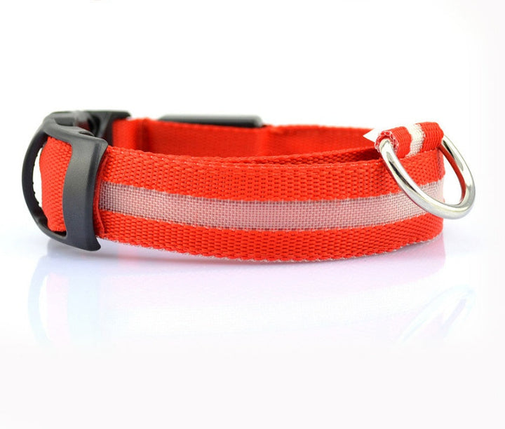 LED Dog Collar | Glow-in-Dark Safety Leash Blyntra