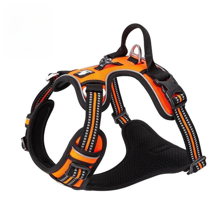 No-Pull Dog Vest with Leash | Explosion-Proof Harness BLYNTRA