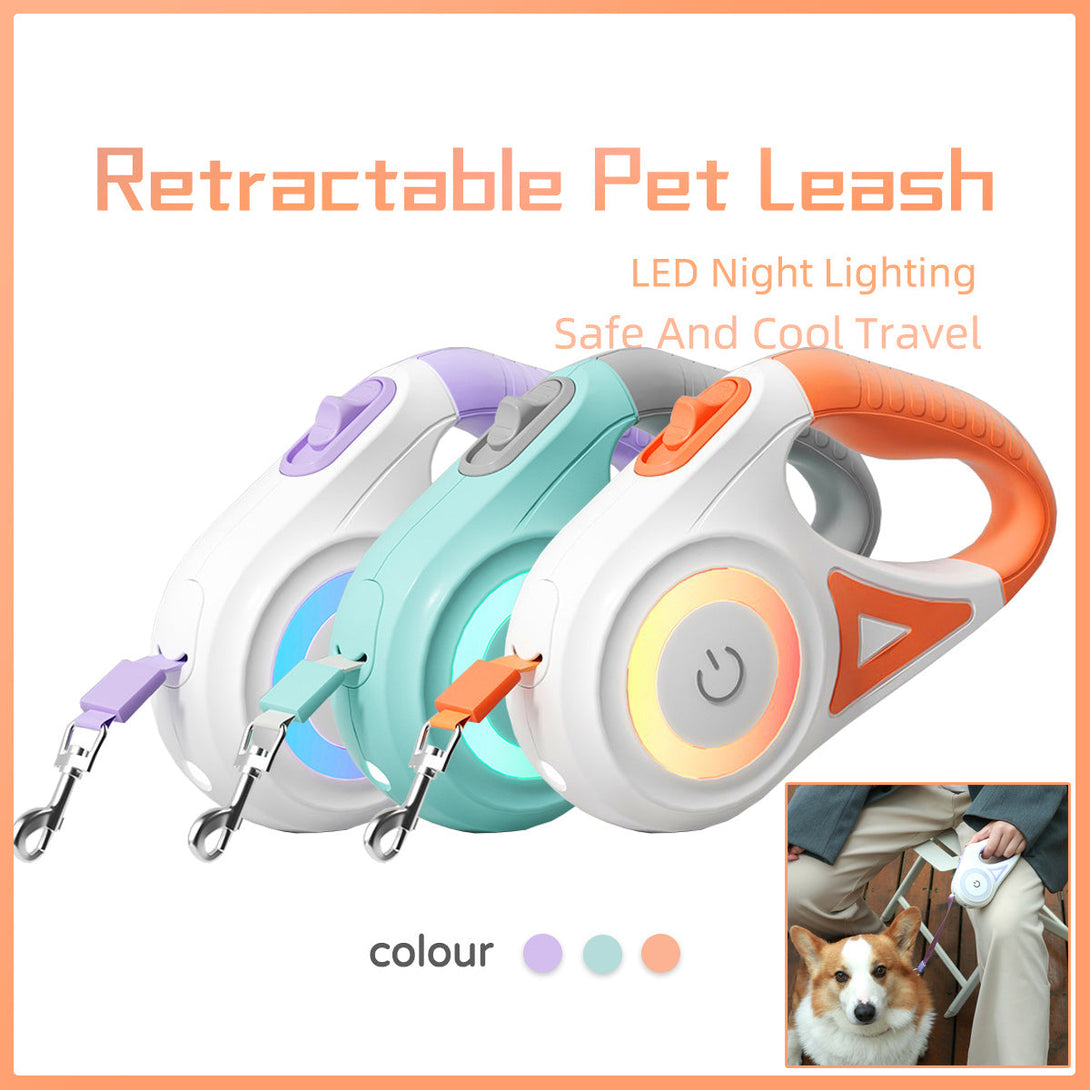 BLYNTRA Dog Leash & Collar Set – Hands-Free Convenience BLYNTRA