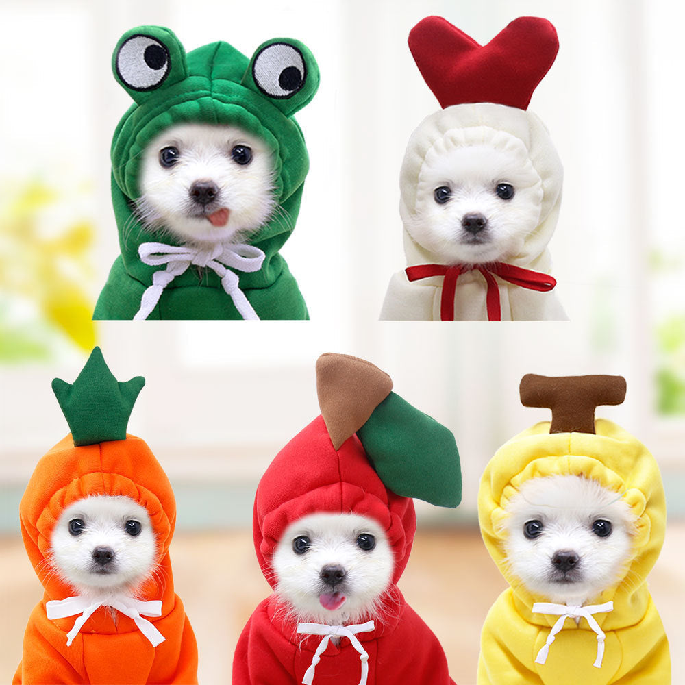 BLYNTRA Winter Fleece Hoodie for Small Dogs – Cute Fruit Costume BLYNTRA
