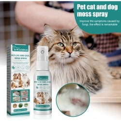 Pet Anti-Itch Skin Spray for Dogs & Cats BLYNTRA