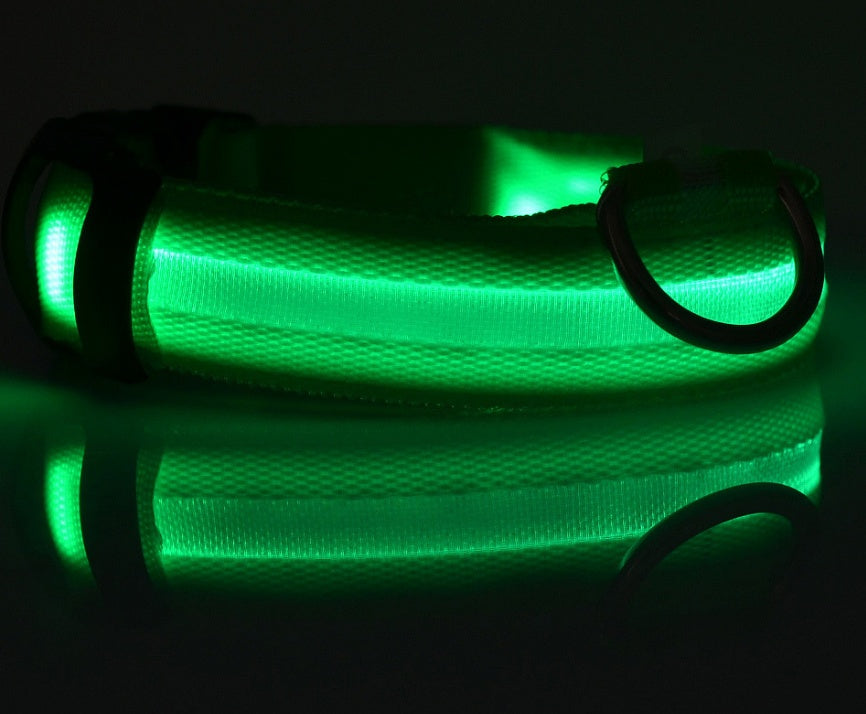 LED Dog Collar | Glow-in-Dark Safety Leash Blyntra