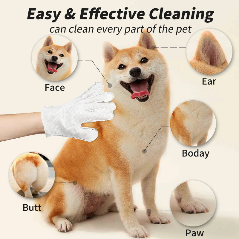 Disposable Pet Cleaning Gloves – Dry Grooming Mitts BLYNTRA