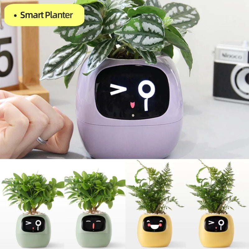 BLYNTRA Smart Planter Companion – Animated AI Plant Pot with Display BLYNTRA