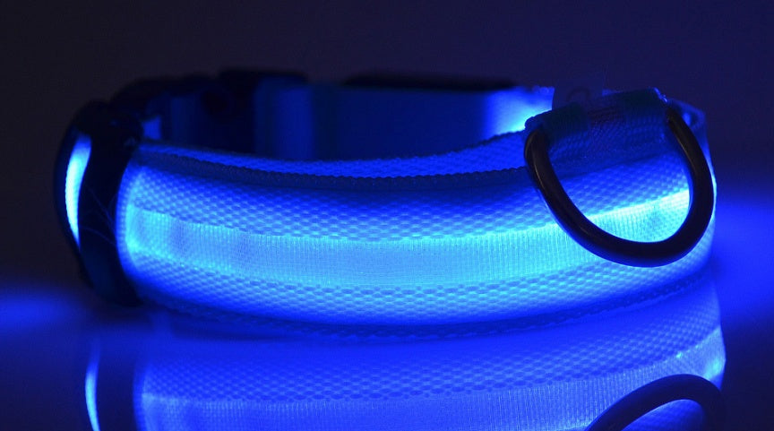 LED Dog Collar | Glow-in-Dark Safety Leash Blyntra