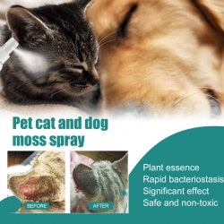 Pet Anti-Itch Skin Spray for Dogs & Cats BLYNTRA