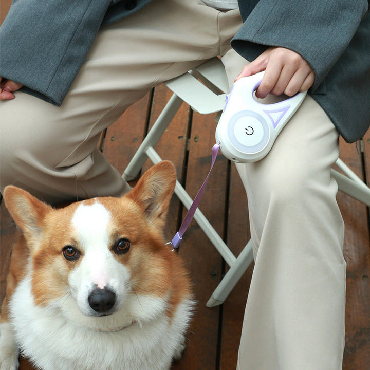 Dog Leash Retractable Leash And Dog Collar Spotlight Automatic Pet Dog Cat Traction Rope For Small Medium Dogs Pet Product Silicone Back Scrub Bath Brush
