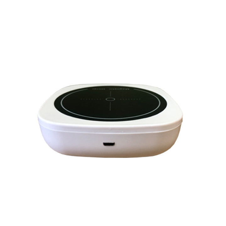 Small Magnetic Stirrer Laboratory Stirrer BLYNTRA