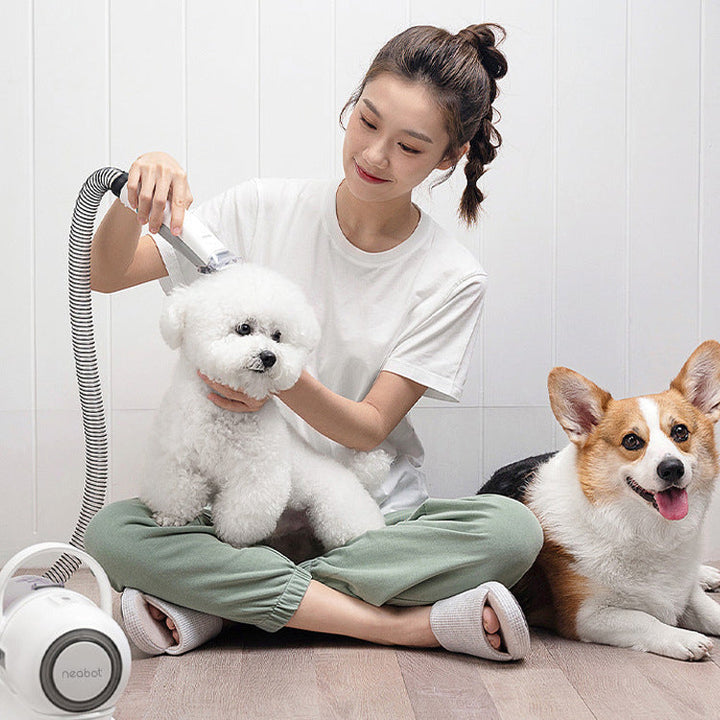 GroomMaster 2-in-1 Pet Grooming Comb & Shaver Silicone Back Scrub Bath Brush