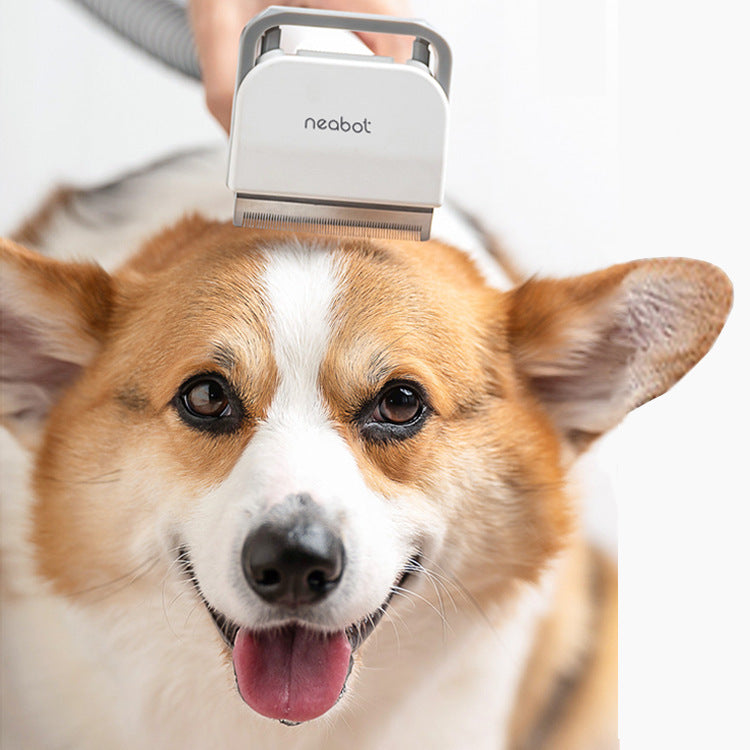 GroomMaster 2-in-1 Pet Grooming Comb & Shaver Silicone Back Scrub Bath Brush