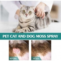 Pet Anti-Itch Skin Spray for Dogs & Cats BLYNTRA