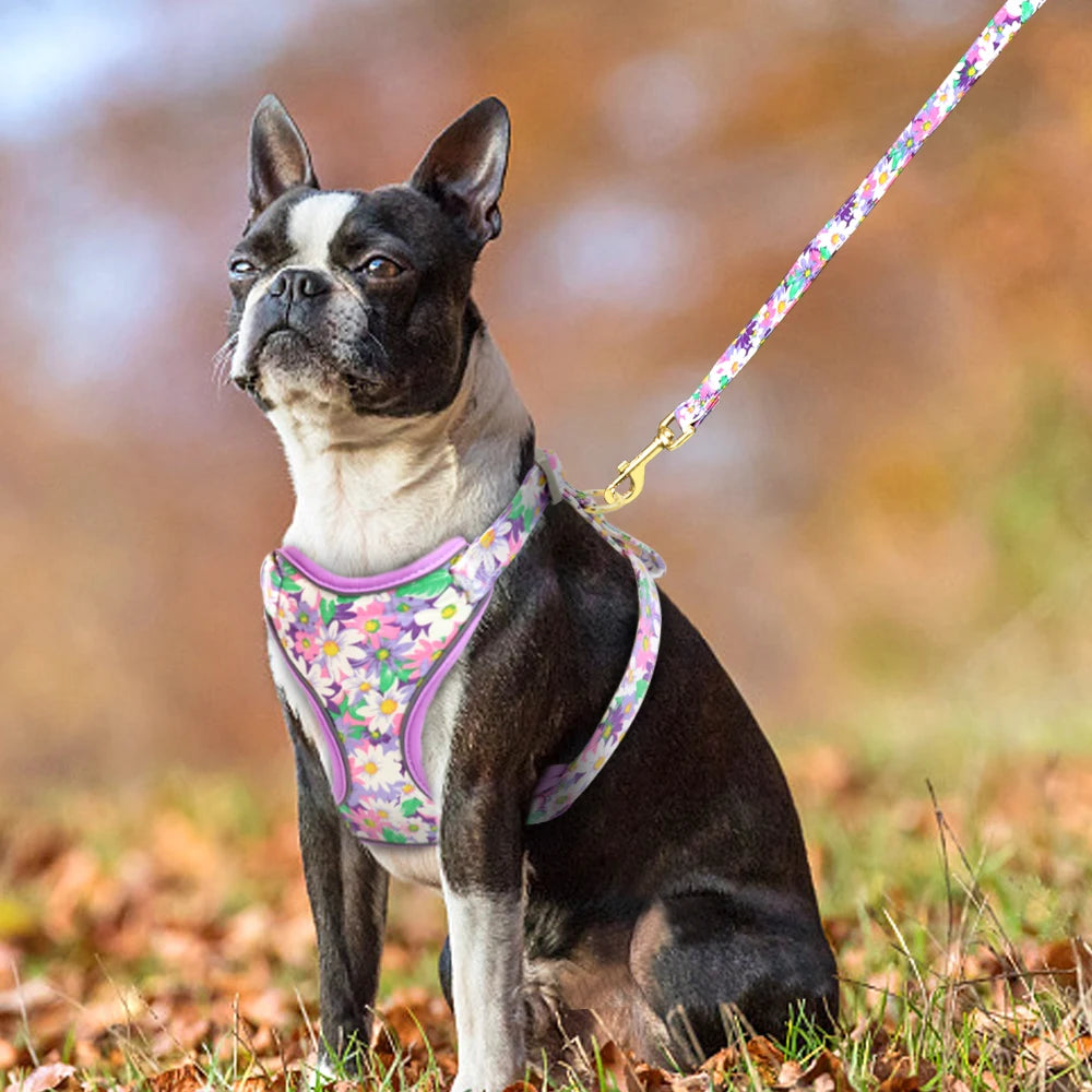 Reflective Mesh Dog Harness & Leash BLYNTRA