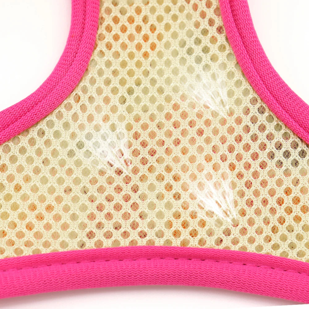 Reflective Mesh Dog Harness & Leash BLYNTRA