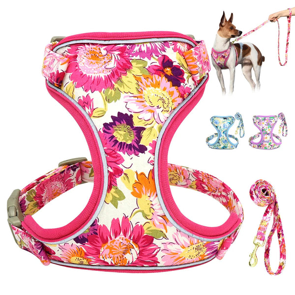 Mesh Nylon Dog Harness Lead Leash Set Reflective Dogs Vest Harnesses With Walking Belt Rope for Small Medium Large Dogs Pug BLYNTRA