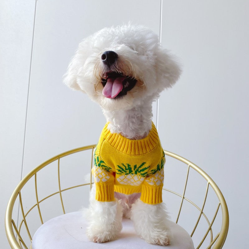Pineapple Print Winter Pet Sweater | Holiday Dog Wear BLYNTRA