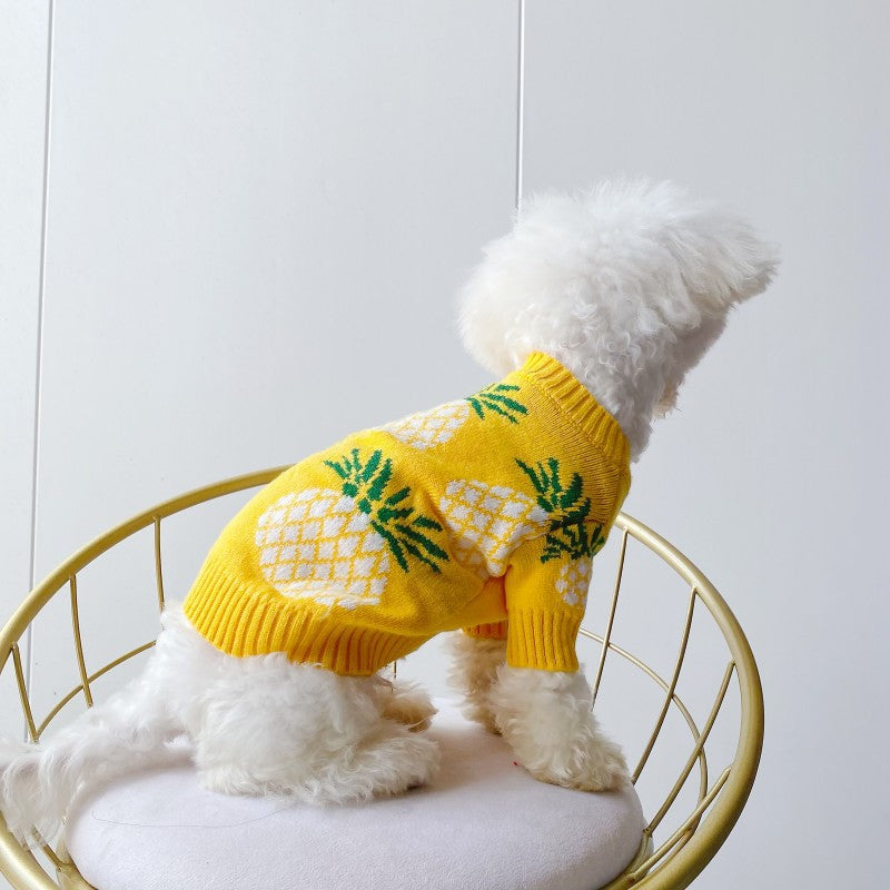 Pineapple Print Winter Pet Sweater | Holiday Dog Wear BLYNTRA