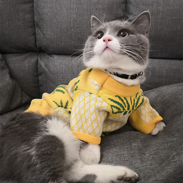 Pineapple Print Winter Pet Sweater | Holiday Dog Wear BLYNTRA