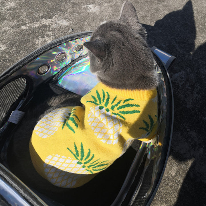 Pineapple Print Winter Pet Sweater | Holiday Dog Wear BLYNTRA