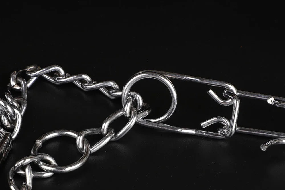 BLYNTRA Adjustable Pinch Collar with Safety Snap – No-Pull Training BLYNTRA